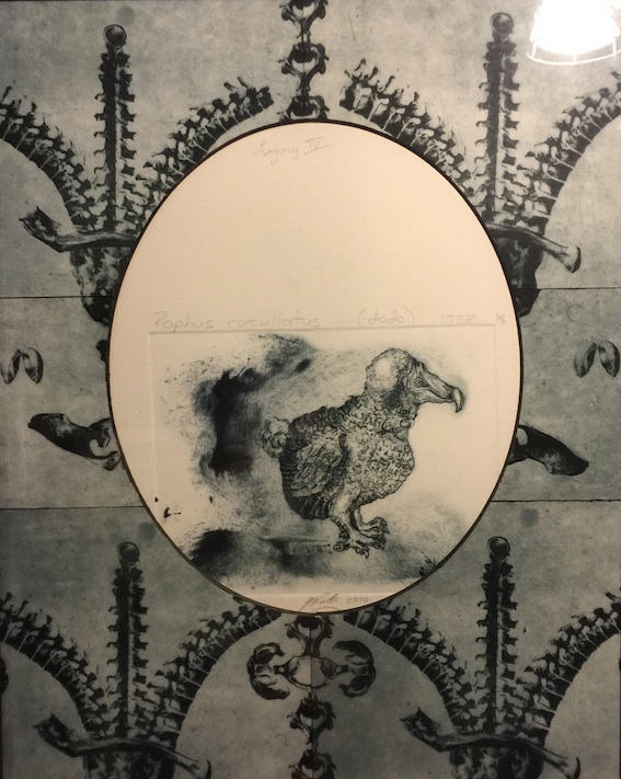 Rachel Ratten | Dodo |Printmaking.  | McAtamney Gallery and Design Store | Geraldine NZ